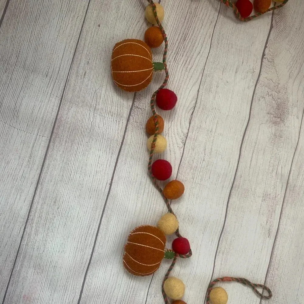 Haymarket Square Pumpkin Felt Ball Fall Garland Jute String Fall Thanksgiving 6'